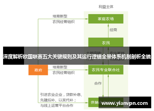 深度解析欧国联赛五大关键规则及其运行逻辑全景体系机制剖析全貌